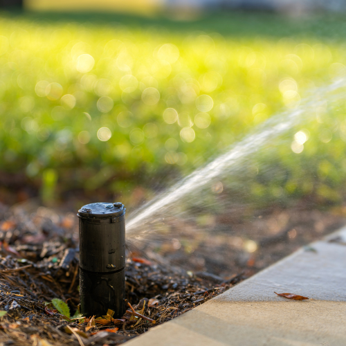 Sprinkler System Installation